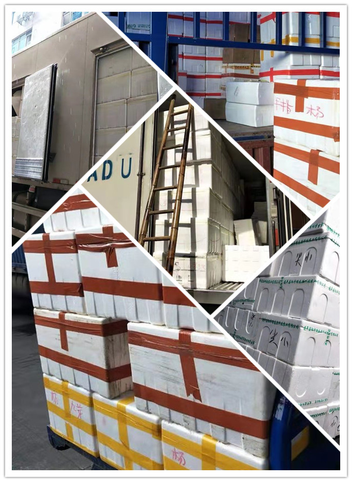 首页-PA真人集团有限公司官网