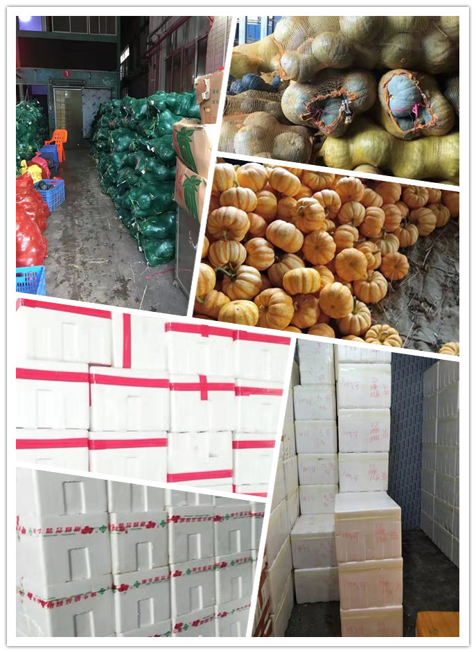 首页-PA真人集团有限公司官网