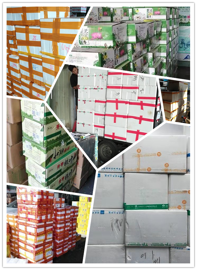 首页-PA真人集团有限公司官网