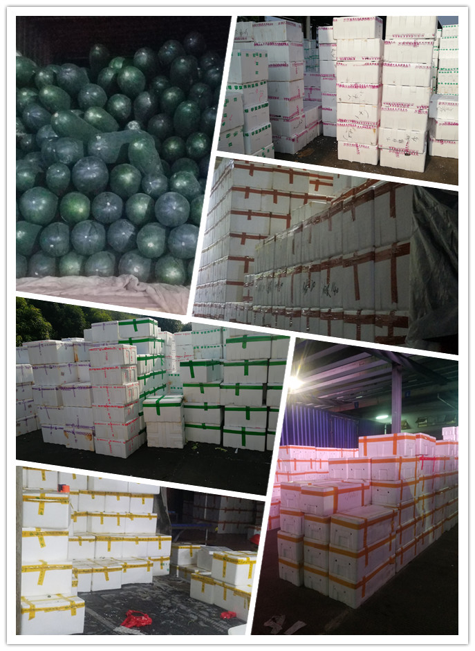 首页-PA真人集团有限公司官网