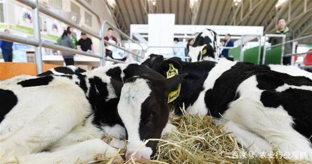 首页-PA真人集团有限公司官网