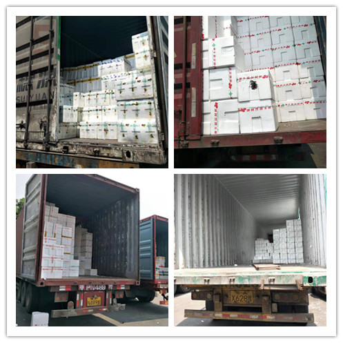 首页-PA真人集团有限公司官网