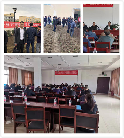 首页-PA真人集团有限公司官网