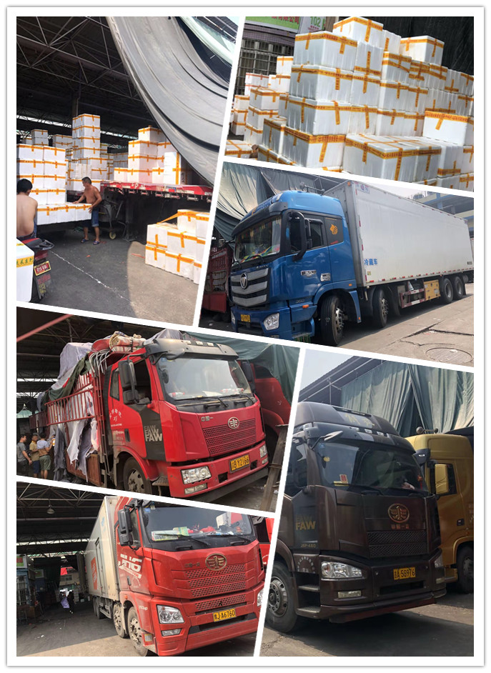 首页-PA真人集团有限公司官网