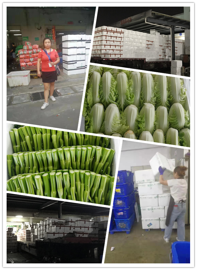 首页-PA真人集团有限公司官网