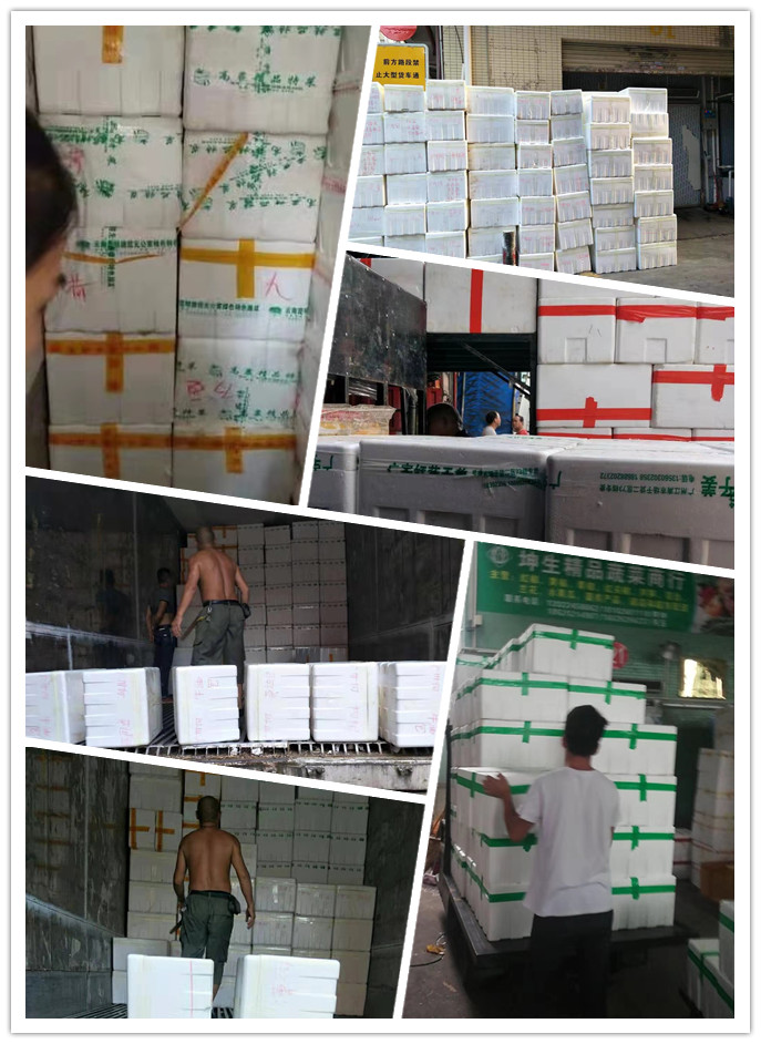 首页-PA真人集团有限公司官网