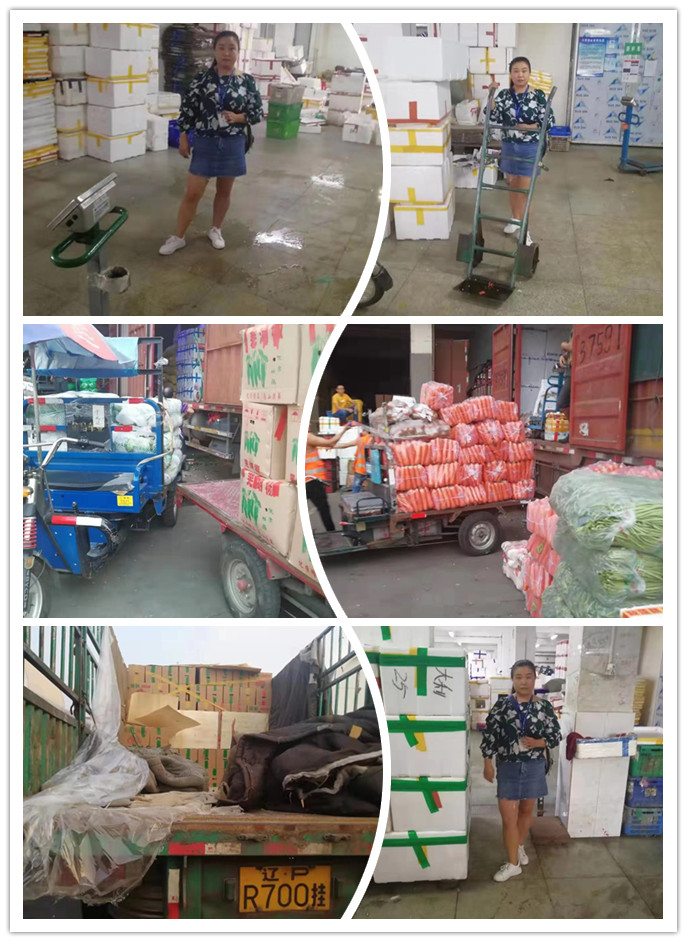 首页-PA真人集团有限公司官网