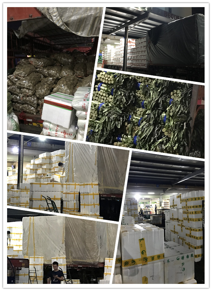 首页-PA真人集团有限公司官网