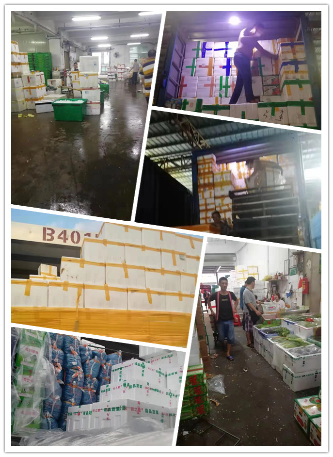 首页-PA真人集团有限公司官网