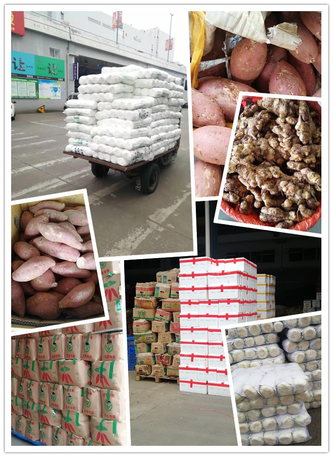 首页-PA真人集团有限公司官网