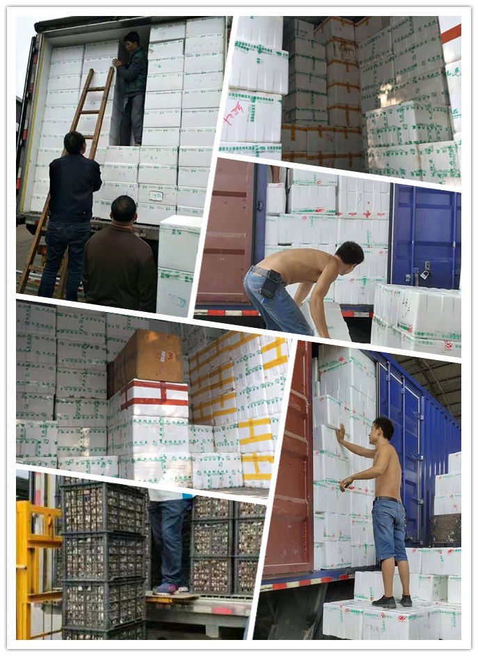 首页-PA真人集团有限公司官网