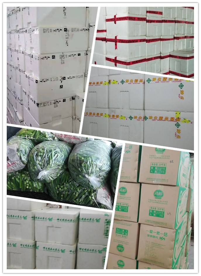 首页-PA真人集团有限公司官网