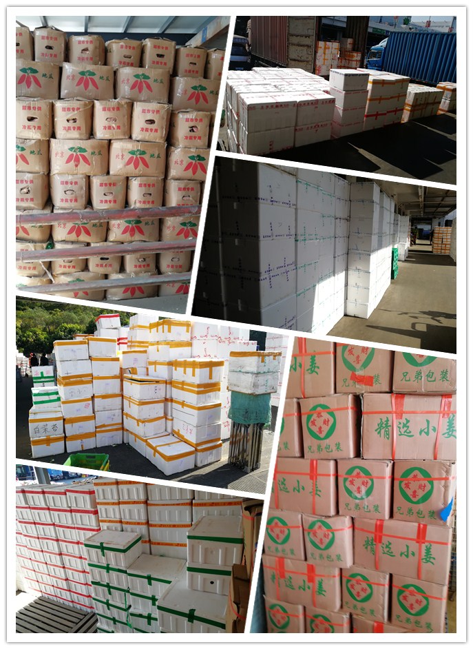 首页-PA真人集团有限公司官网