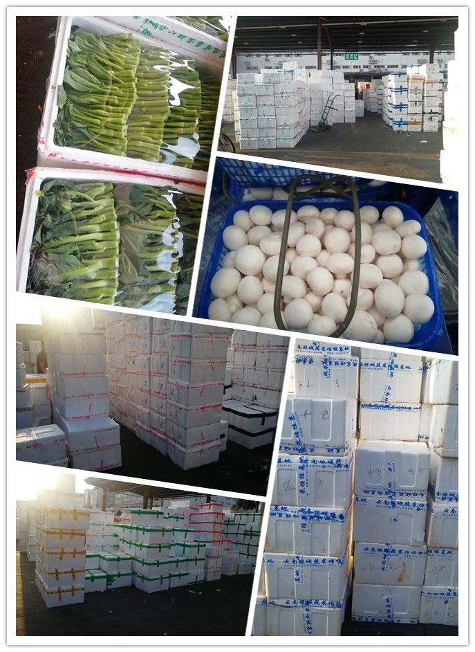 首页-PA真人集团有限公司官网