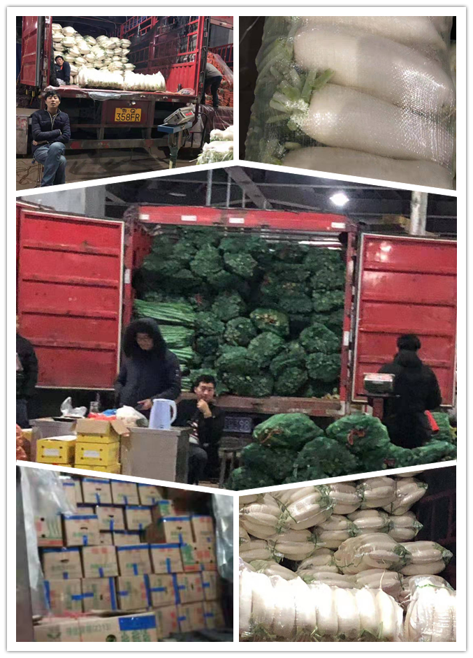 首页-PA真人集团有限公司官网