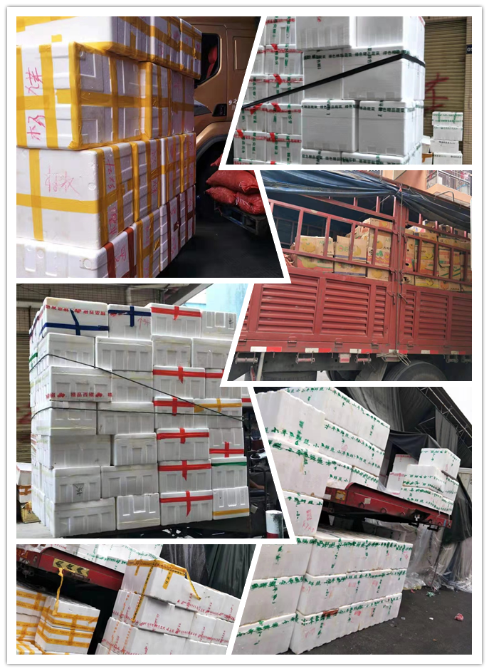 首页-PA真人集团有限公司官网