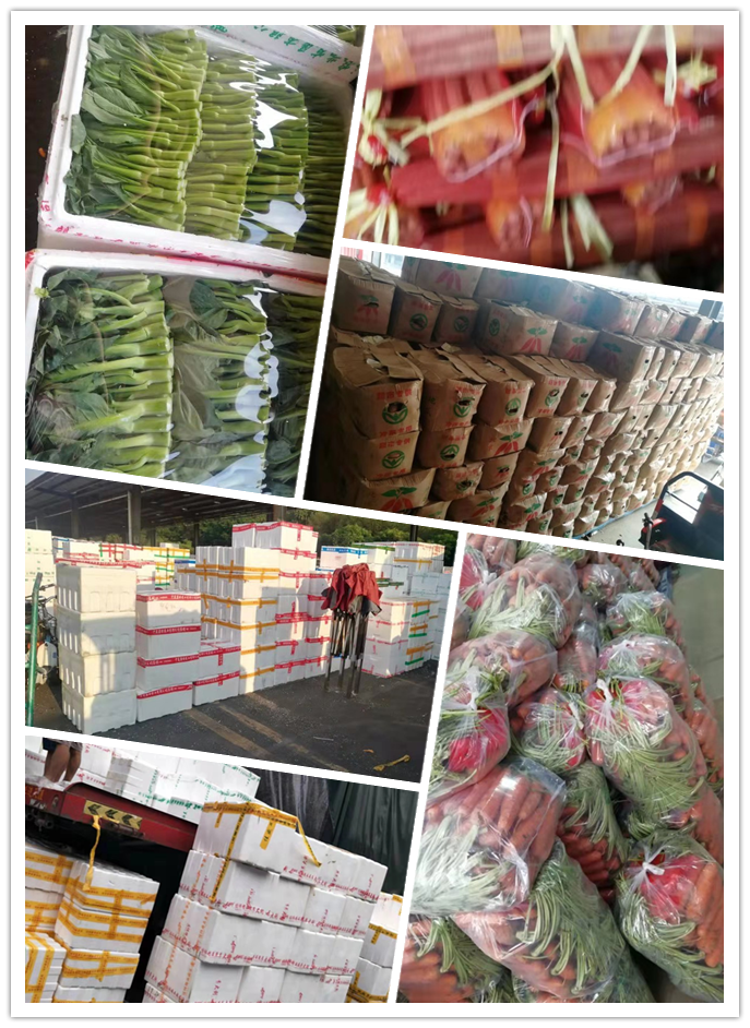 首页-PA真人集团有限公司官网