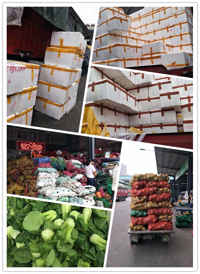 首页-PA真人集团有限公司官网