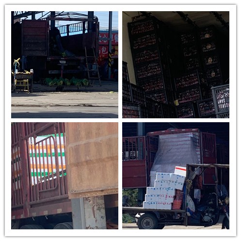 首页-PA真人集团有限公司官网