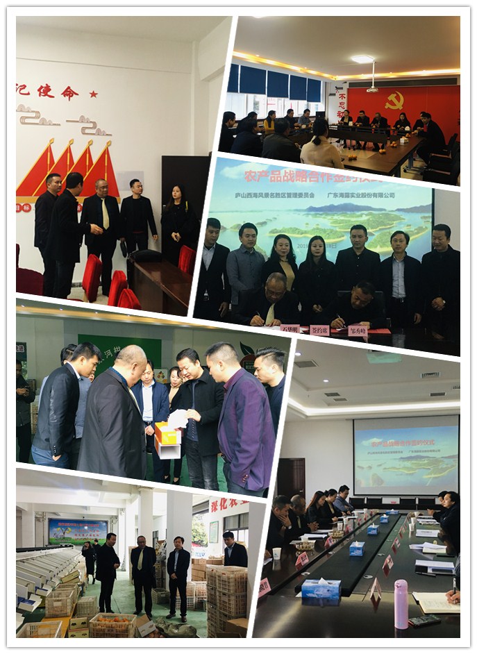 首页-PA真人集团有限公司官网