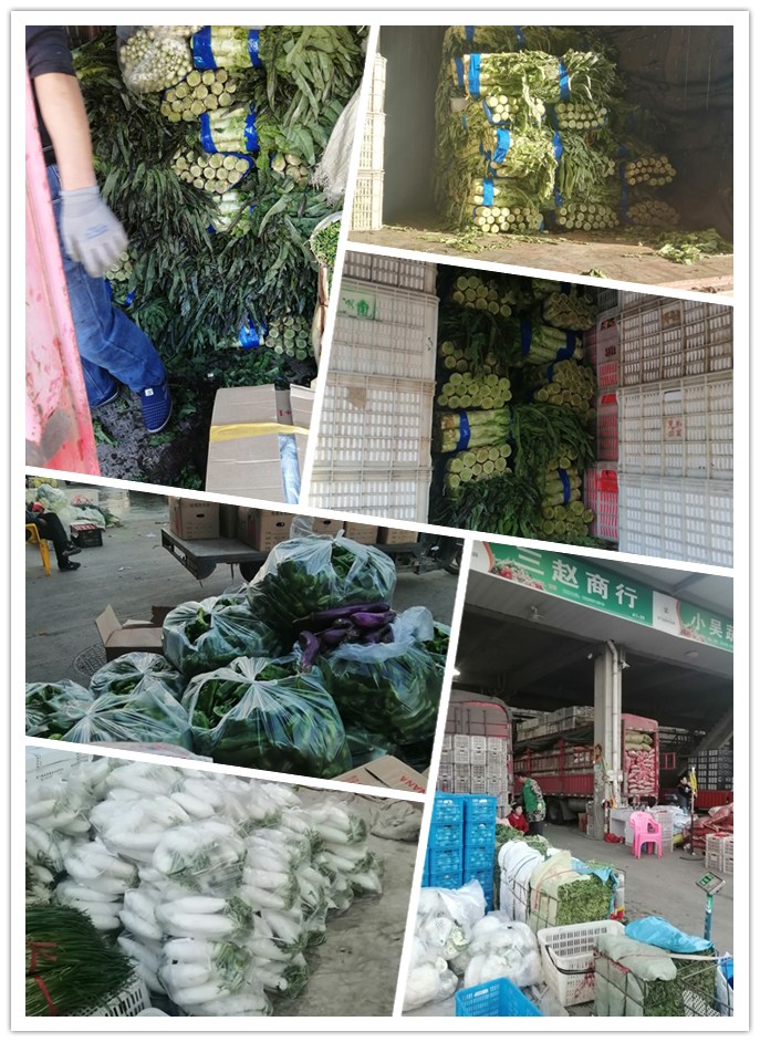 首页-PA真人集团有限公司官网