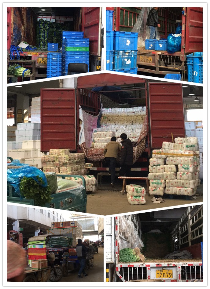 首页-PA真人集团有限公司官网