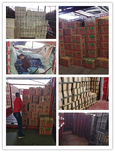 首页-PA真人集团有限公司官网