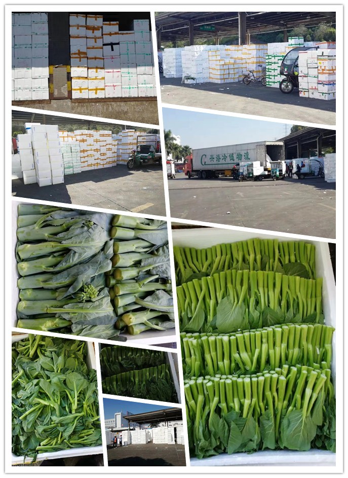 首页-PA真人集团有限公司官网