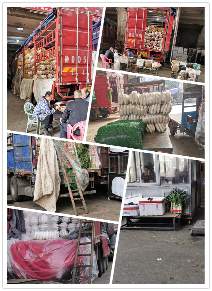 首页-PA真人集团有限公司官网