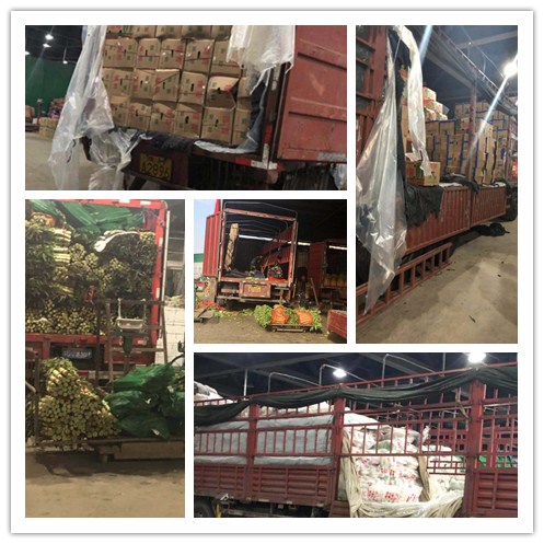 首页-PA真人集团有限公司官网