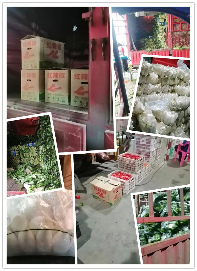 首页-PA真人集团有限公司官网