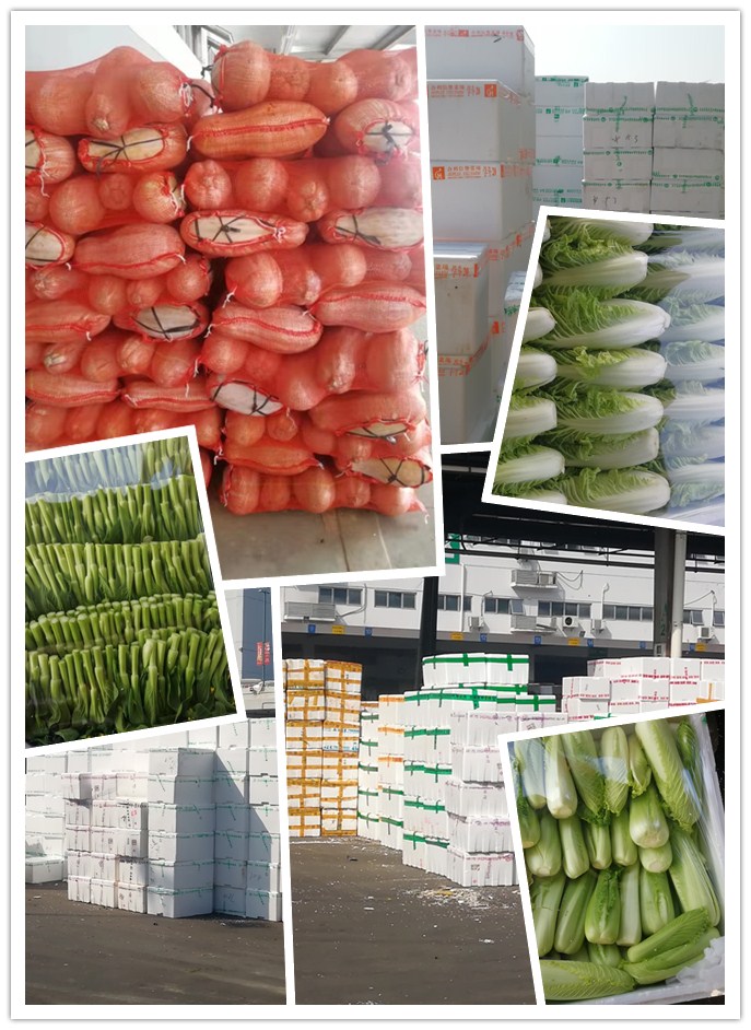 首页-PA真人集团有限公司官网