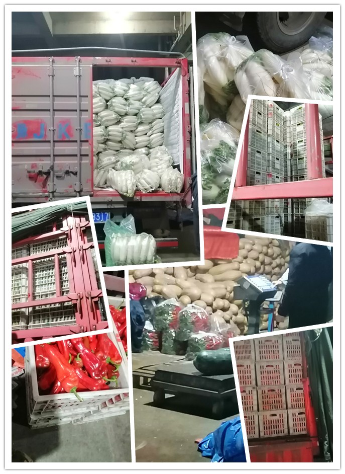 首页-PA真人集团有限公司官网