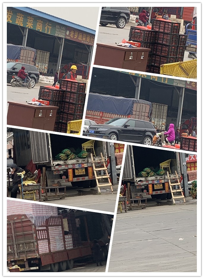 首页-PA真人集团有限公司官网