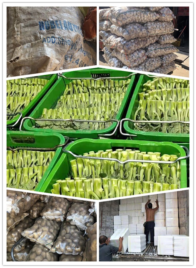 首页-PA真人集团有限公司官网