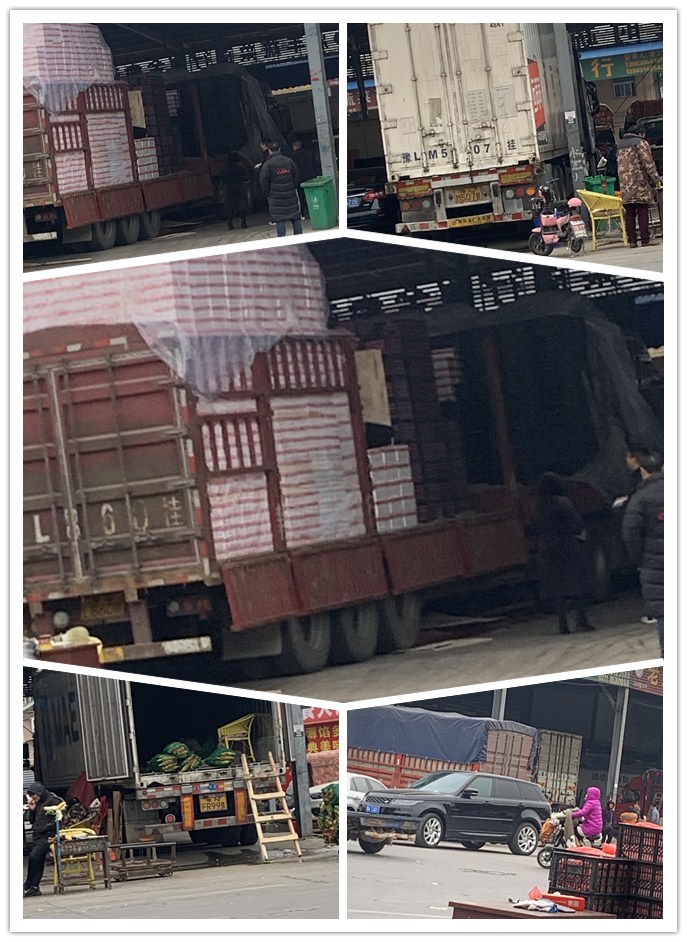 首页-PA真人集团有限公司官网