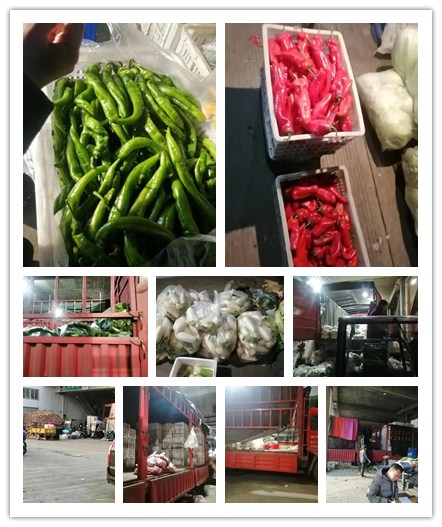 首页-PA真人集团有限公司官网