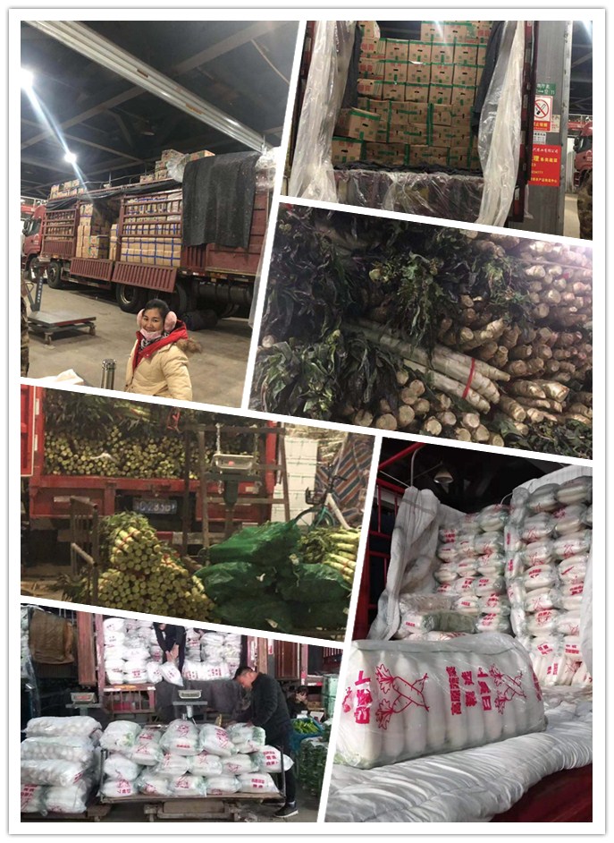 首页-PA真人集团有限公司官网