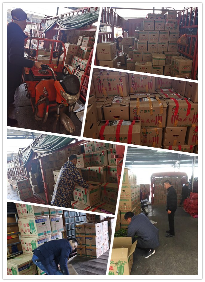 首页-PA真人集团有限公司官网