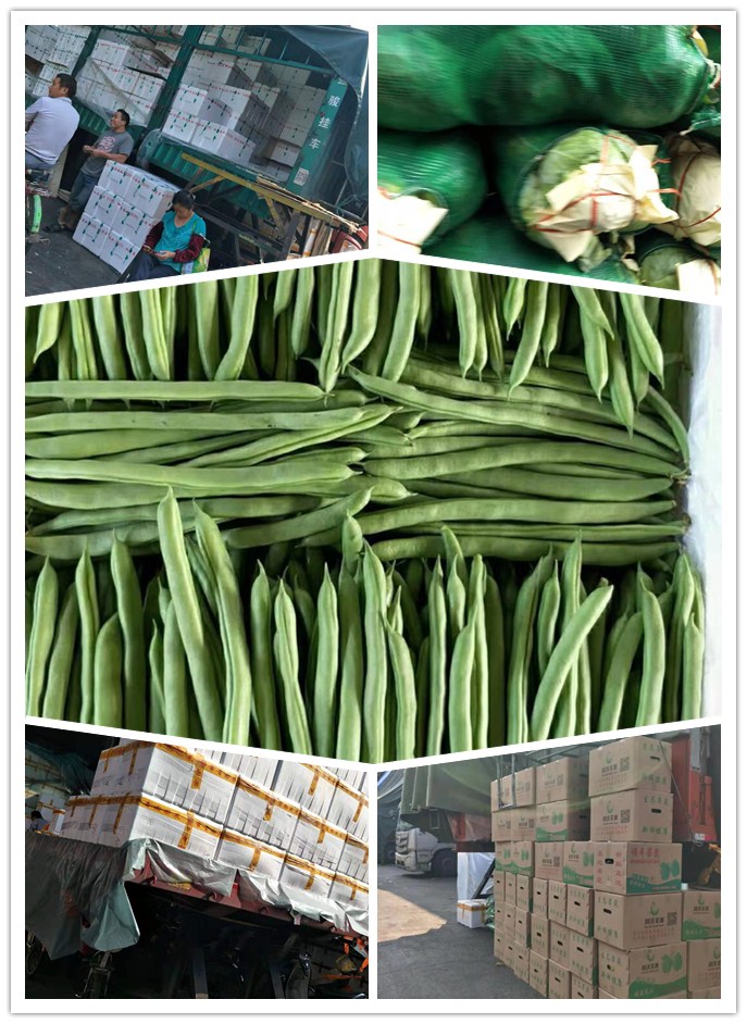 首页-PA真人集团有限公司官网