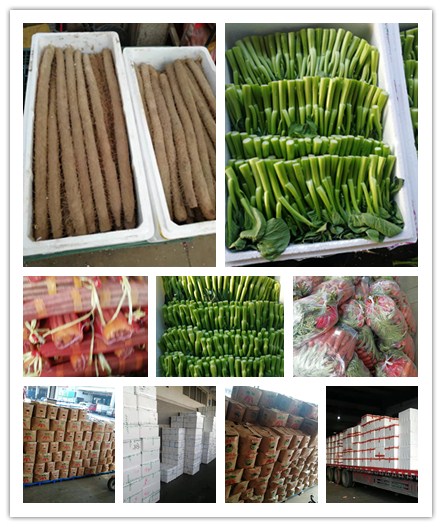 首页-PA真人集团有限公司官网