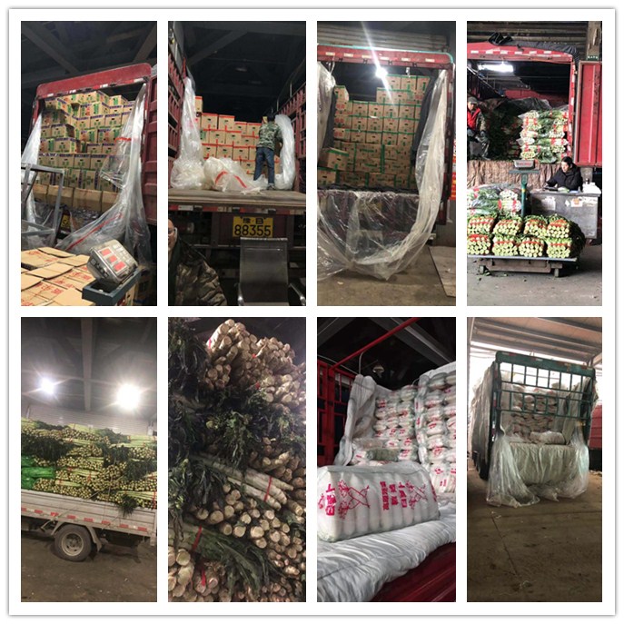 首页-PA真人集团有限公司官网