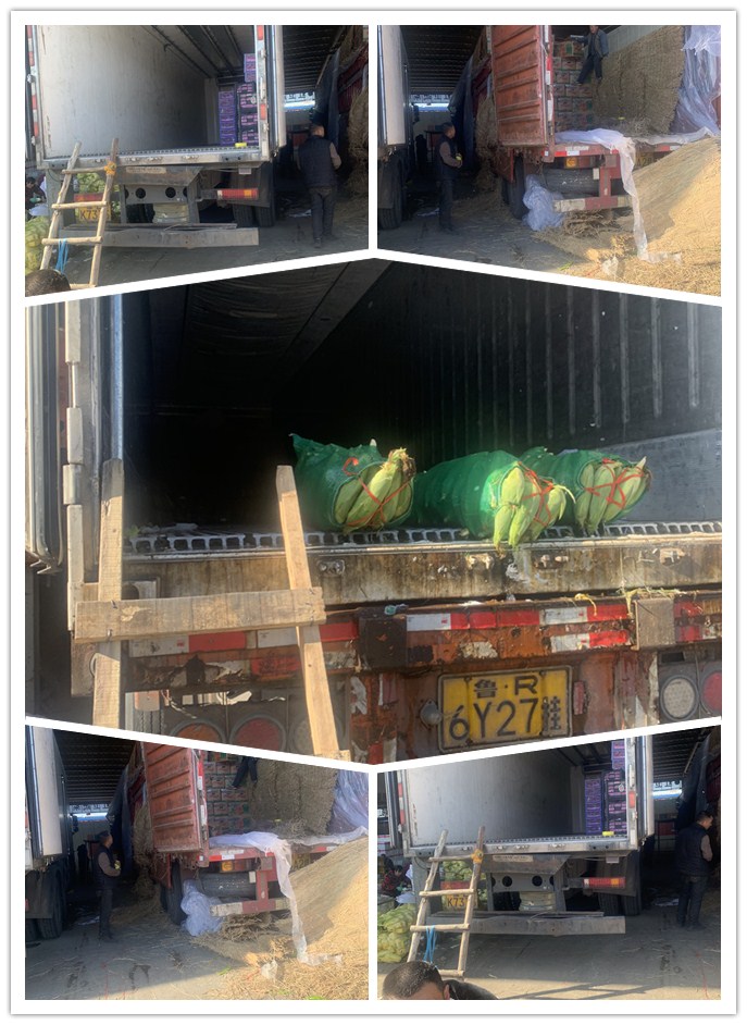 首页-PA真人集团有限公司官网