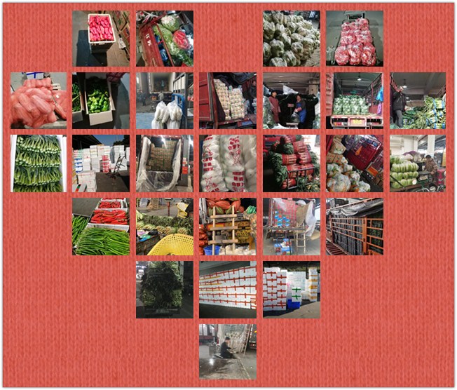 首页-PA真人集团有限公司官网