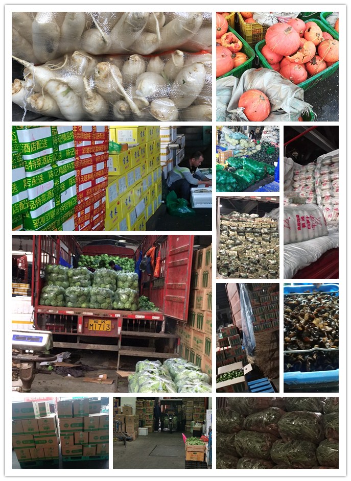 首页-PA真人集团有限公司官网