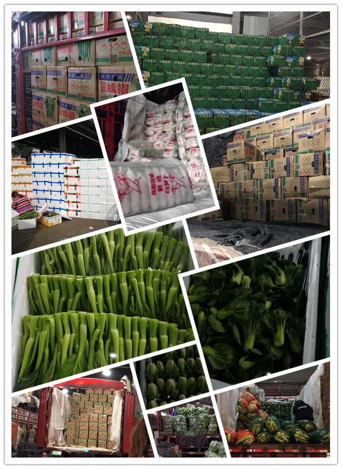 首页-PA真人集团有限公司官网