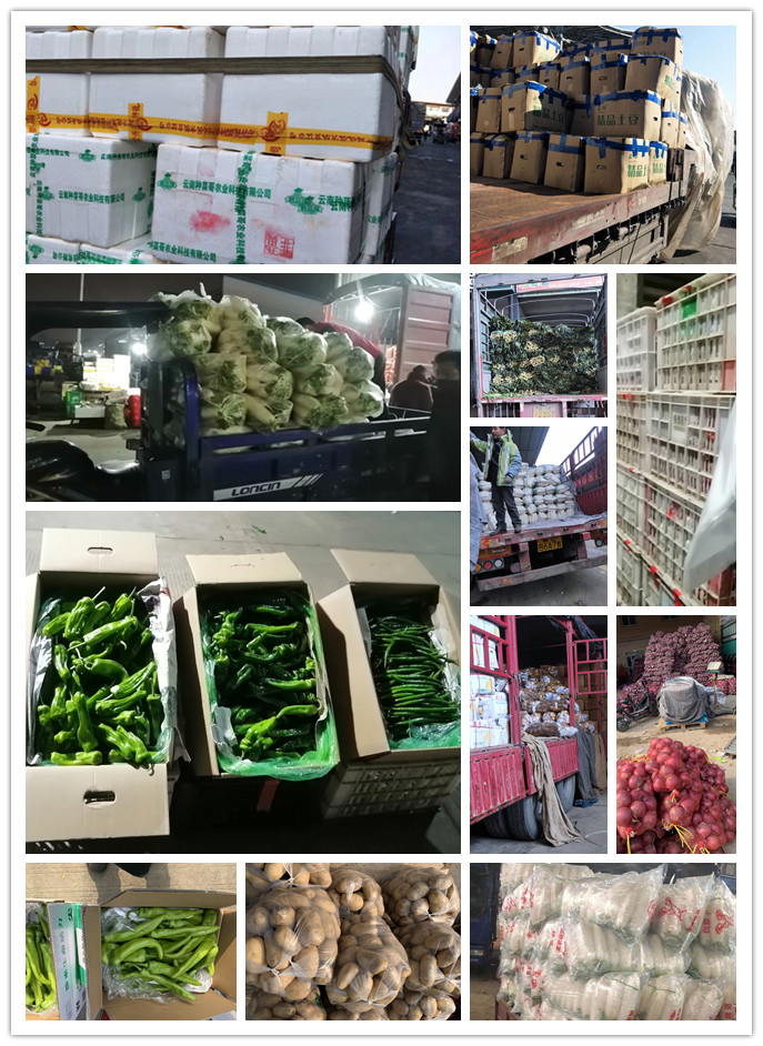 首页-PA真人集团有限公司官网