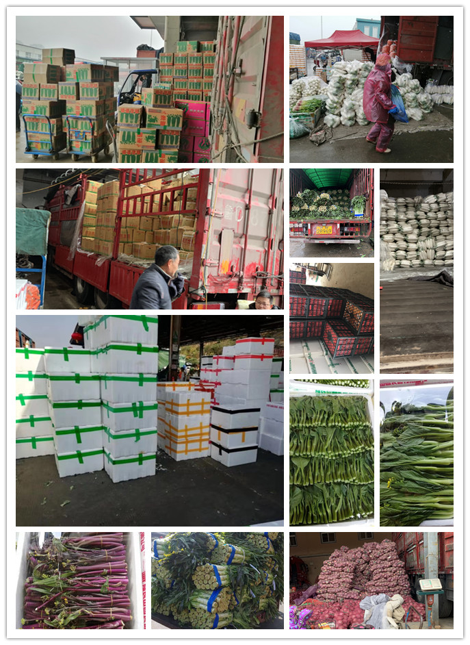 首页-PA真人集团有限公司官网