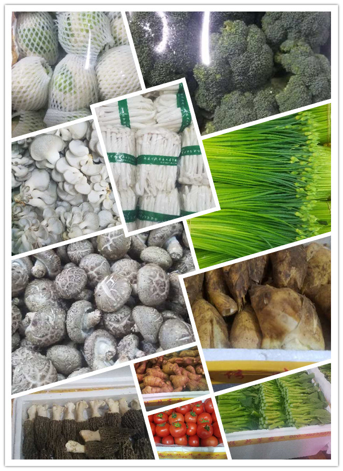 首页-PA真人集团有限公司官网