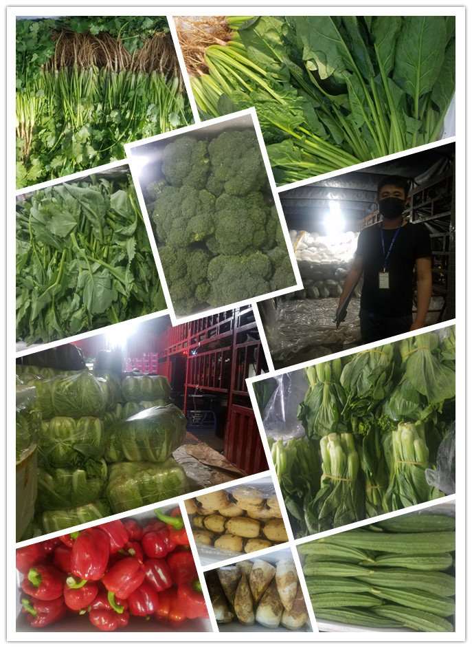 首页-PA真人集团有限公司官网